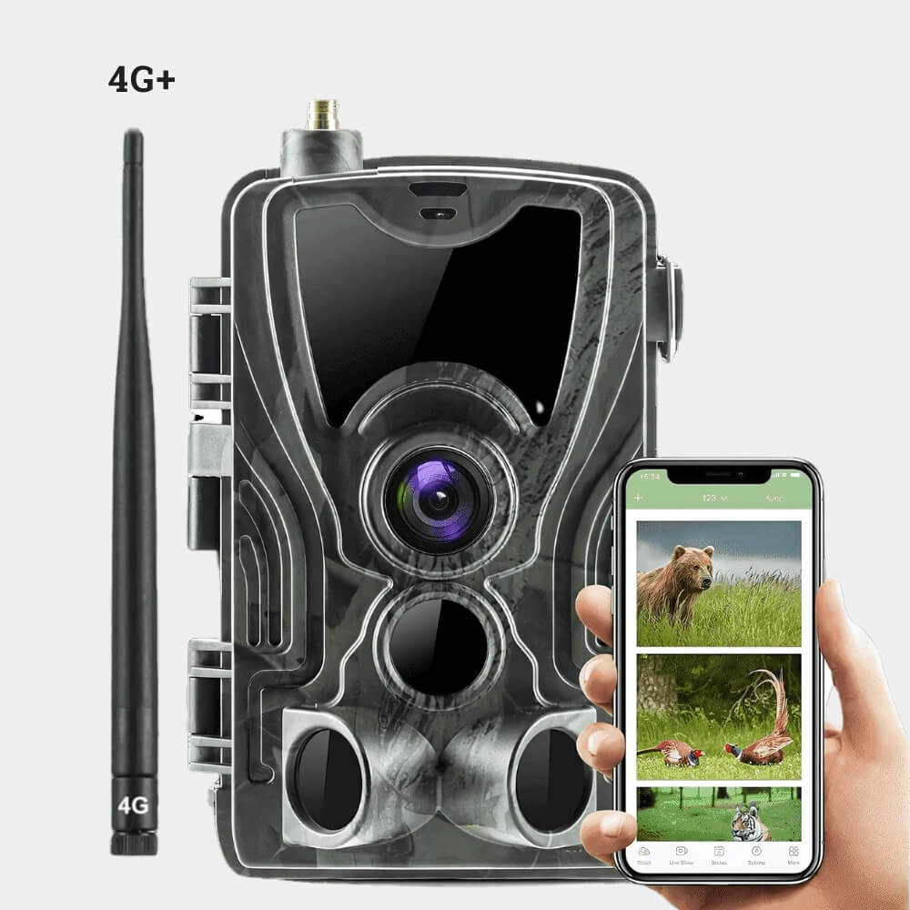 Veyroon Connect+