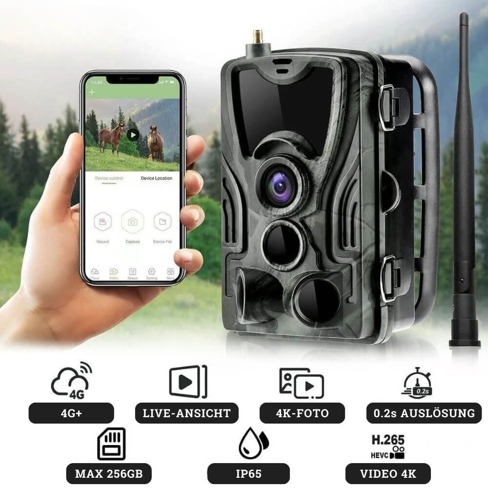 Veyroon Connect+